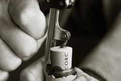 Opening wine bottle --- Image by � Royalty-Free/Corbis (photo: )